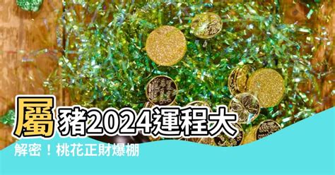 屬豬財位|【2024 屬豬】屬豬2024好運接踵而來！運勢、幸運色、財位、禁。